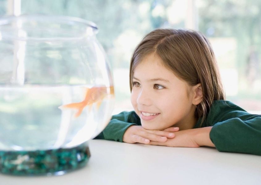 Young girl looking at a goldfish for 10 ways to create a happy home blog