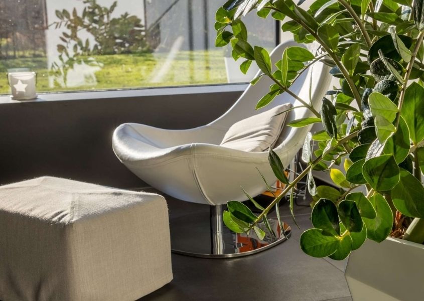 white modern armchair with white pouffe with large green plant