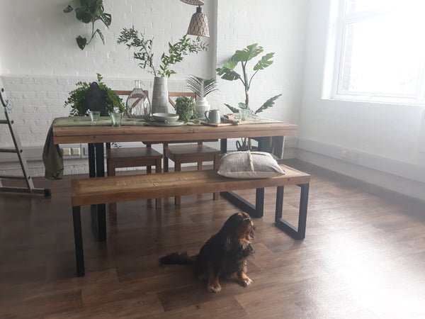 Cute dog sitting in front of our Stamford Industrial Reclaimed Wood Extending Table whilst it's being shot by our photographer.