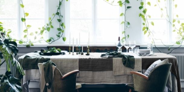 rustic dining table with layers of linen table cloths and hanging plants