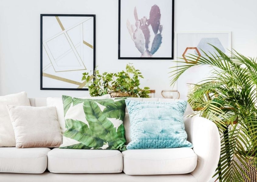 White sofa with palm printed cushions and large green pot plant