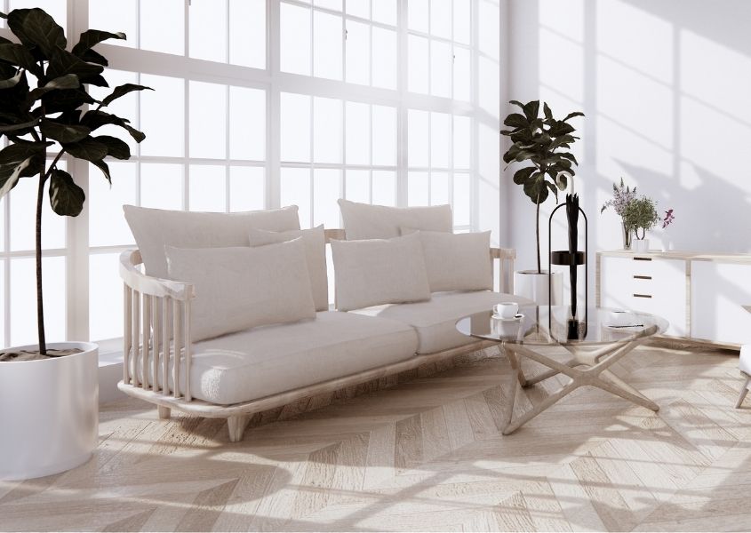 white sofa and wooden floor and large house plants