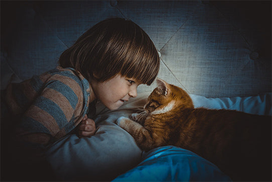Cat and Boy on Sofa