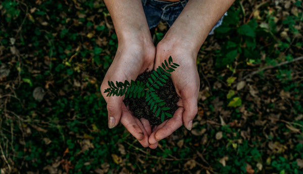 Person holding plants in their palms