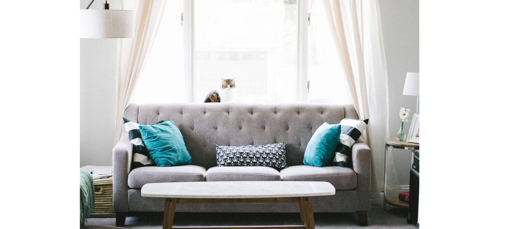 Grey sofa with turquoise cushions with white curtains