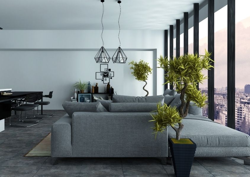 Open plan living room with grey sofa and large floor to ceiling windows, and two tall green plants