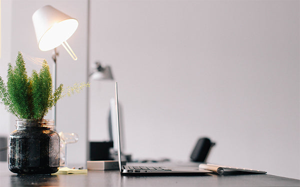A laptop on top of a office desk with a white desk lamp and a green plant