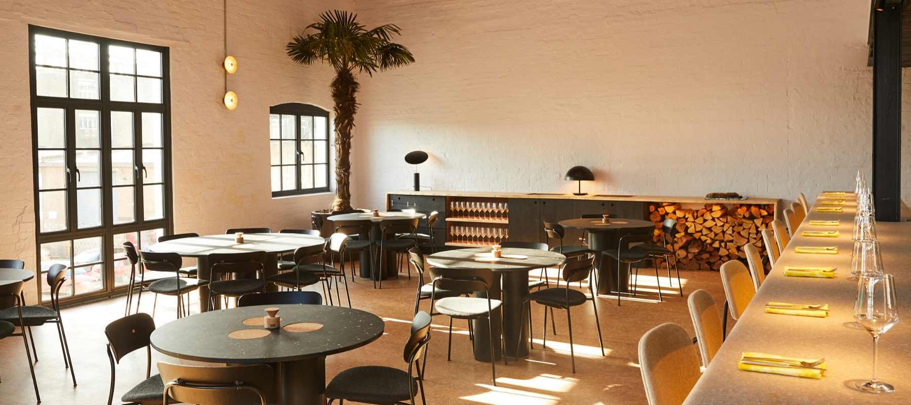 Main restaurant room at Silo London featuring tall windows and palm tree