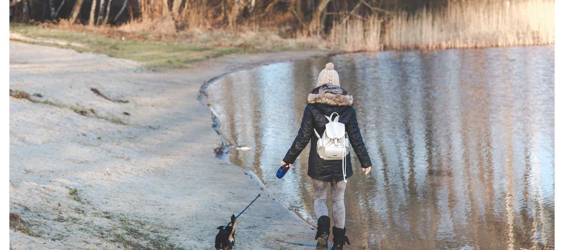Girl walking dog near pond