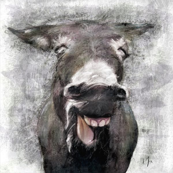 Laughing Donkey Canvas Wall Art