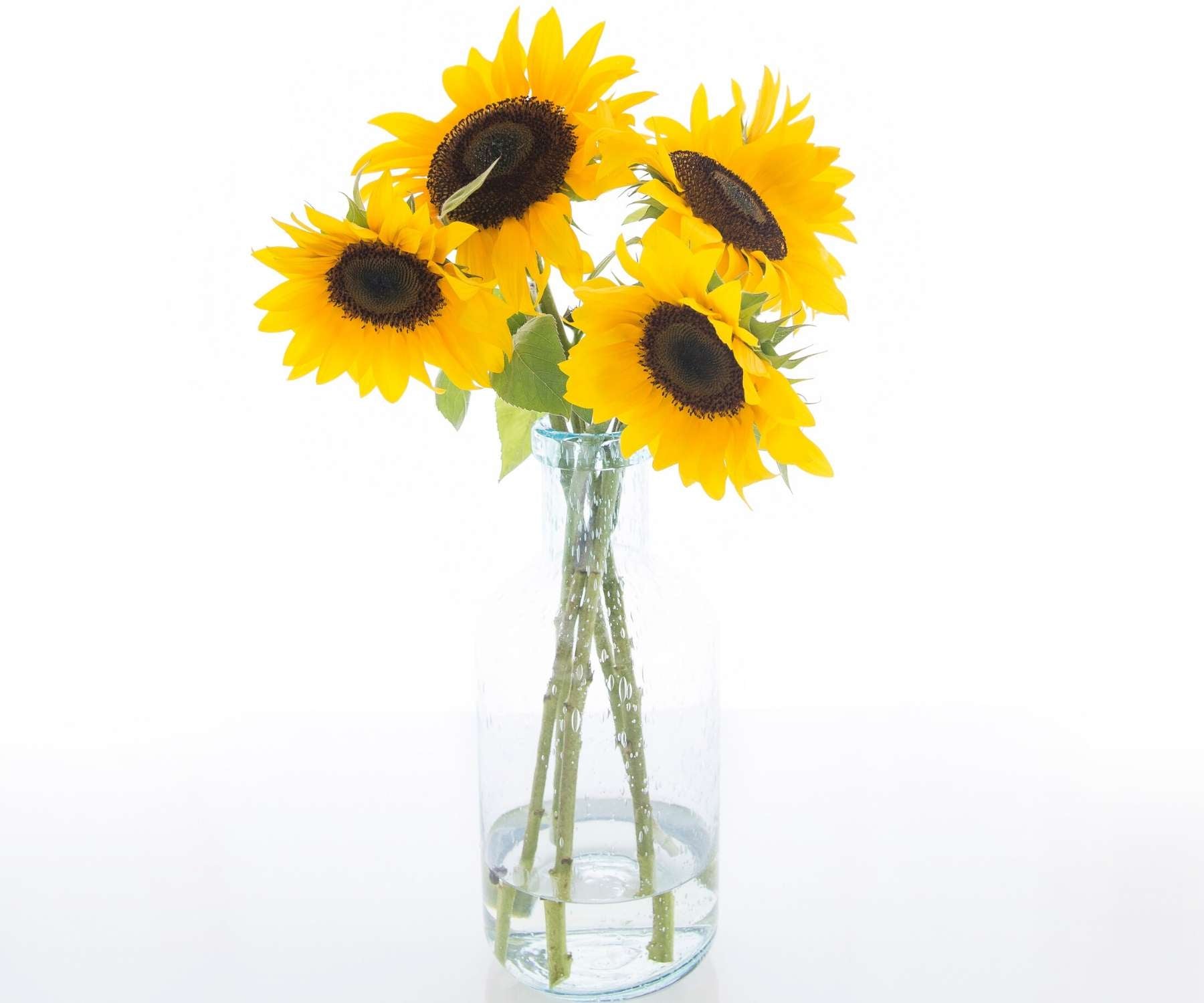 glass vase with sunflowers