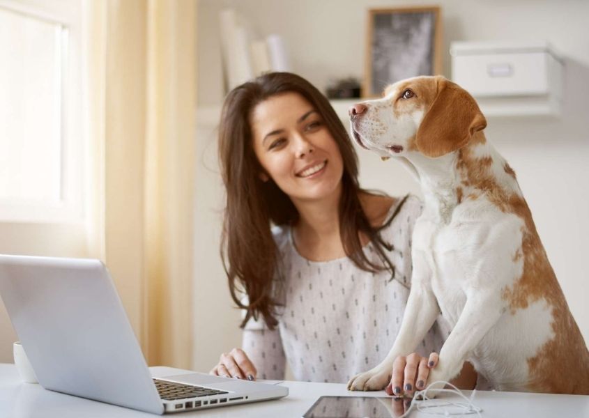 woman at a lap top with dog beside her