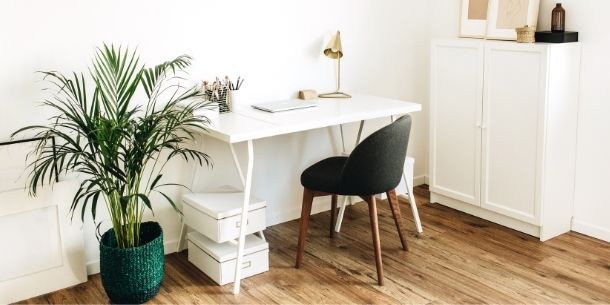 White office desk with dark fabric chair with large green floor plant and wide sideboard