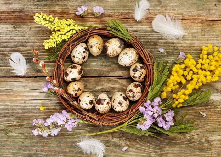 Easter wreath made of wooden twigs and speckled eggs with spring flowers of rustic wooden planks