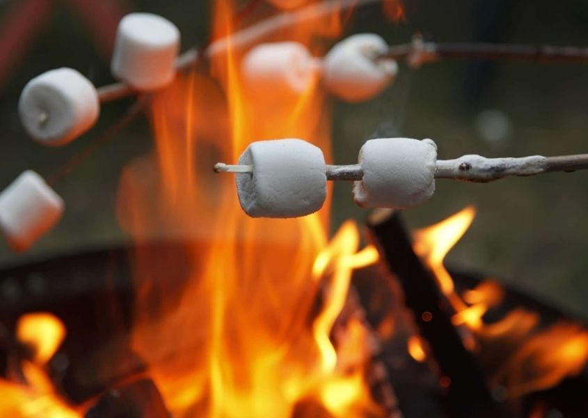 Close up of marshmallows being roasted on sticks over a bonfire