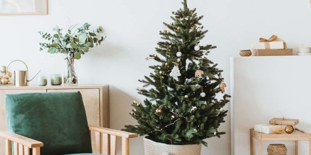 Small Christmas tree in living room with green wooden armchair