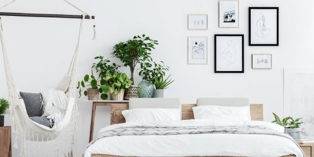 White bedroom with bohemian hanging rope chair and collection of green plants on shelf