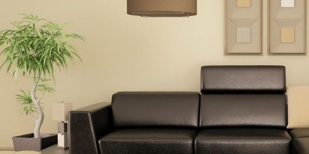 Dark brown leather sofa with beige wall