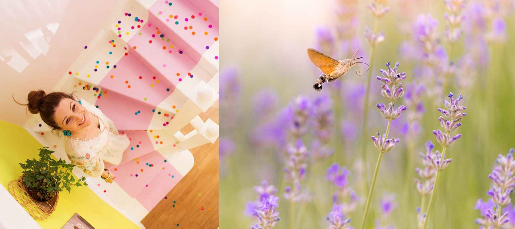 Woman looking up pink painted stairs and a butterfly in wild flowers