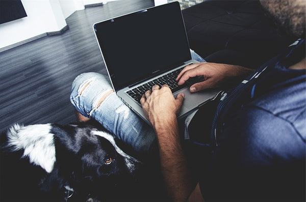 Man with laptop and dog