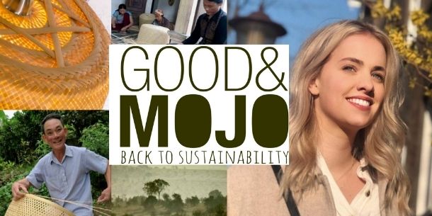 Woman with long blonde hair against blue sky with large Good&Mojo logo in green