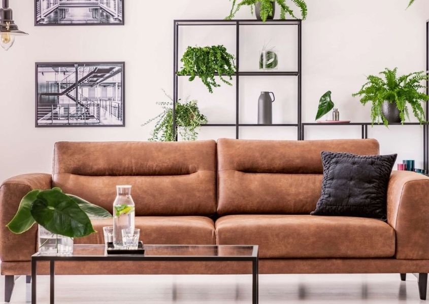 Brown leather sofa with industrial shelving and display of plants