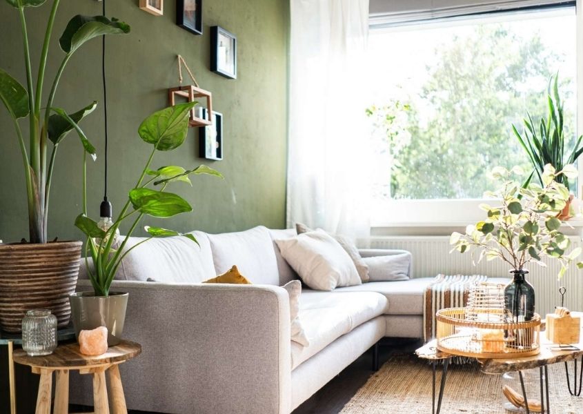 White modern sofa in living room with green feature wall and green plants