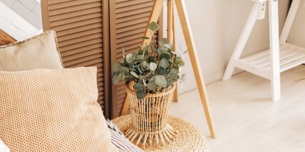 Beige and taupe coloured cushion with wicker plant pot with green plant