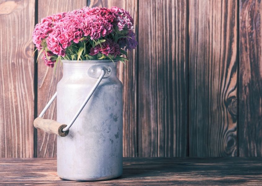 Metal milk churn filled with pink flowers against a rustic wood background
