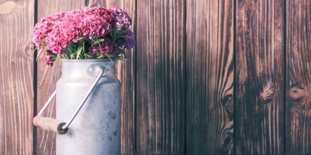 Zinc milk churn full of bright pink flowers against a rustic wood background
