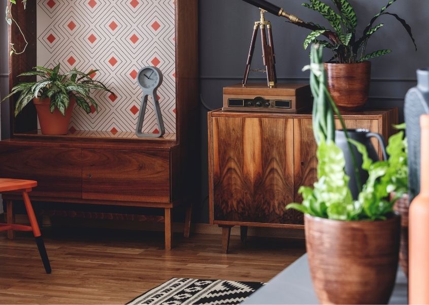 Terracotta plant plot and green plant with wooden sideboard against dark blue wall