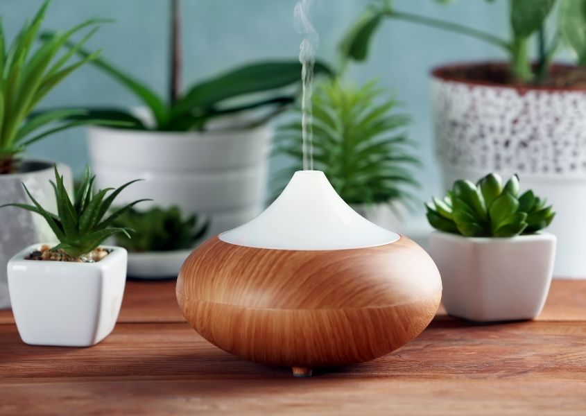 Wooden essential oil diffuser on wooden table with lots of small green plants in white pots