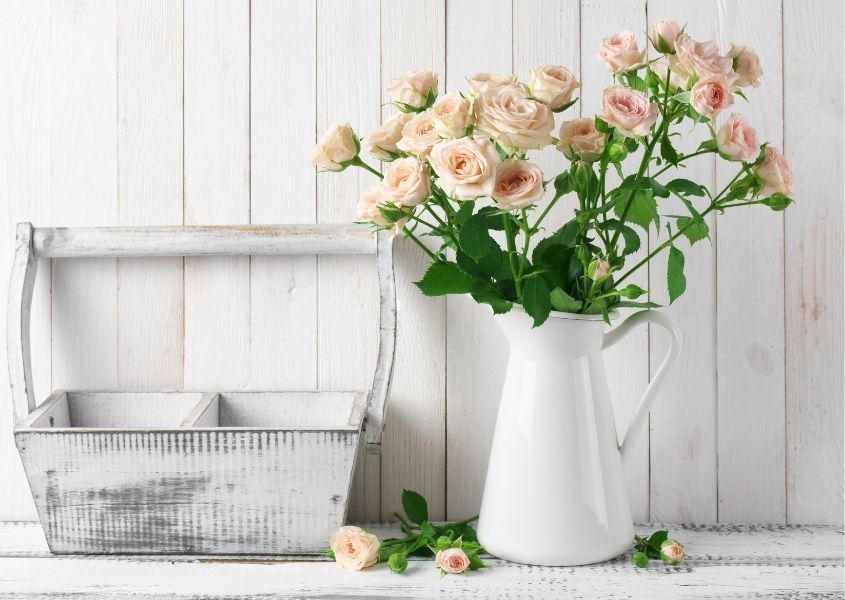 white milk jug with pink roses with white rustic wood background