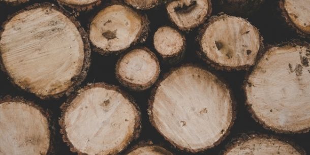 wooden logs for what is sustainable wood and why is it important blog
